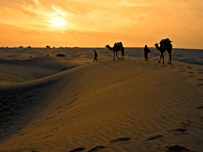 Wanderlust Camel Safari with Rumi Caravan of Thar Desert