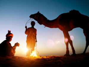 Rumi camel safari
